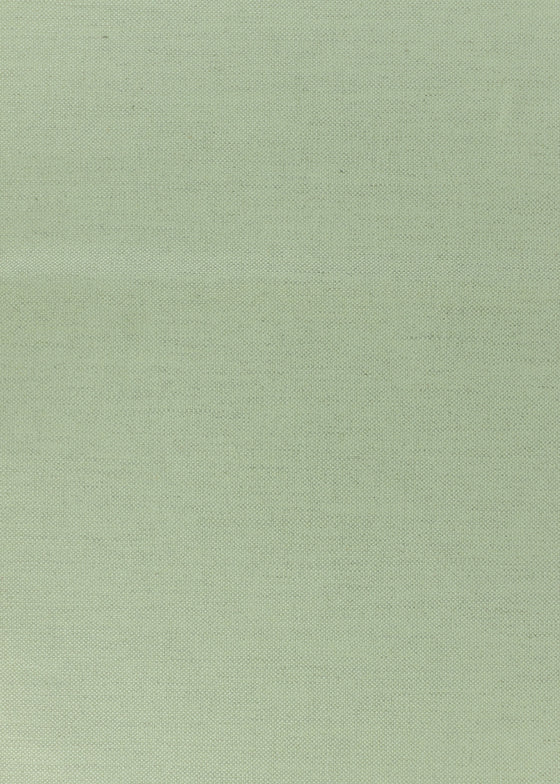St. Clair Washed Verde Liden