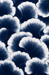 ALMOFADA - GINKO NEG P-LE LIS