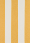 LINHO 309 ESTAMPADO - IMPERMEABILIZADO - LISTRA 8 CM - AMARELO PEPITA